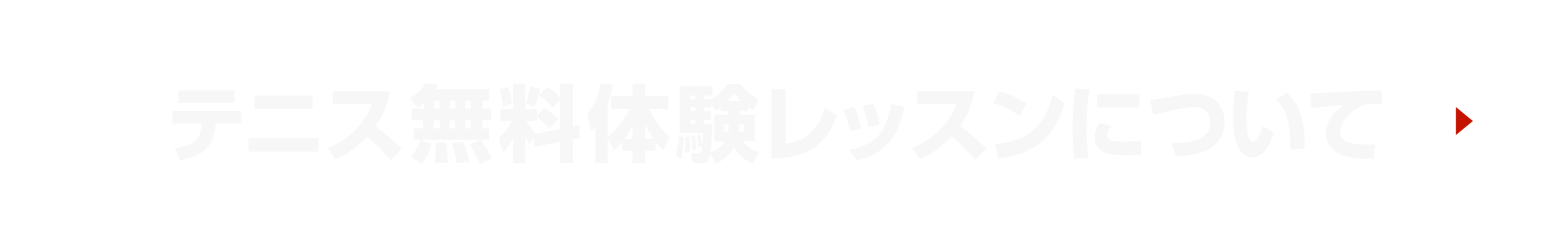 テニス無料体験レッスンについて